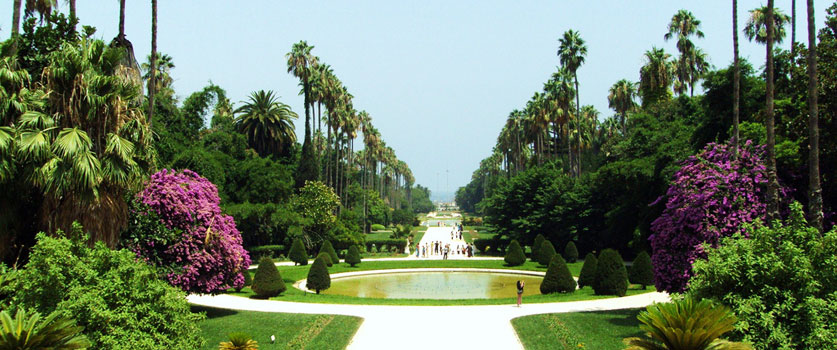 Le Jardin d'Essai d'Alger