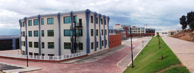L'école nationale supérieure de management d'Alger