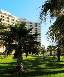Les hôtels d'Alger
