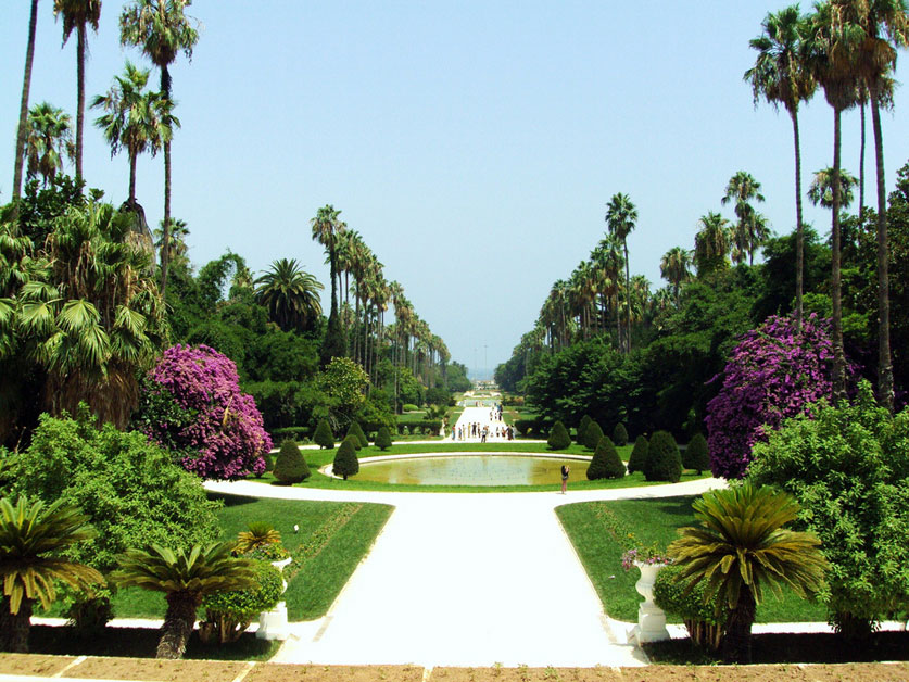 Le Jardin d'Essai d'Alger