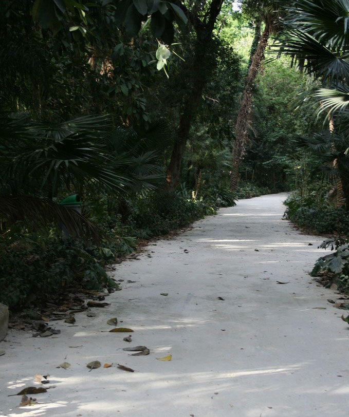 Le Jardin d'Essai d'Alger