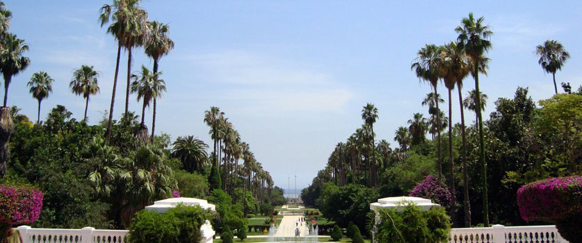 Le Jardin d'Essai d'Alger
